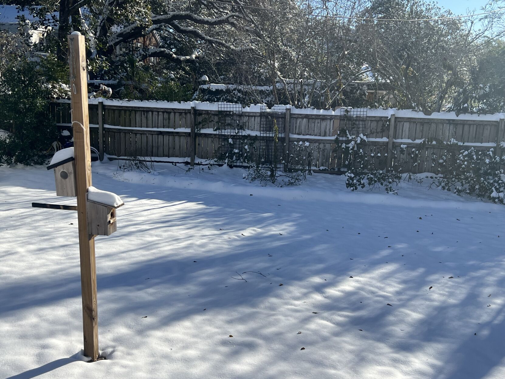 Snowy morning